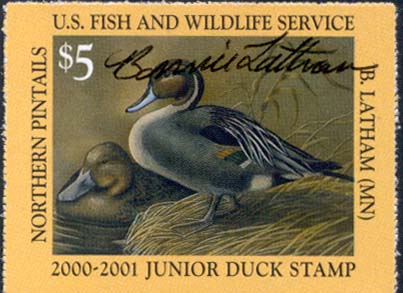 2000-2001 Junior Duck Stamp