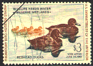 1960 Federal Duck Stamp - Redheads by John A. Ruthven
