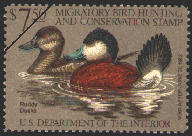 1981 Federal Duck Stamp - Ruddy Ducks by John S. Wilson