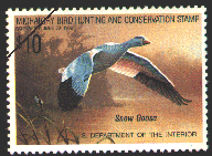 1988 Federal Duck Stamp - Snow Goose by Daniel Smith
