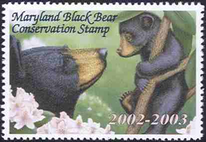 Black bear with cub