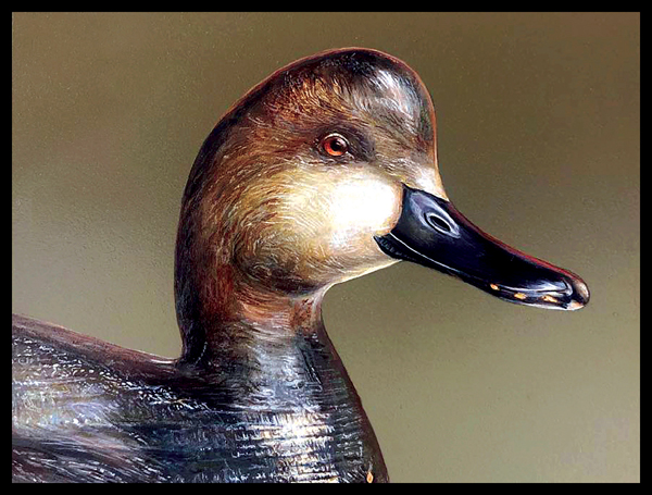#3 Gadwall decoy