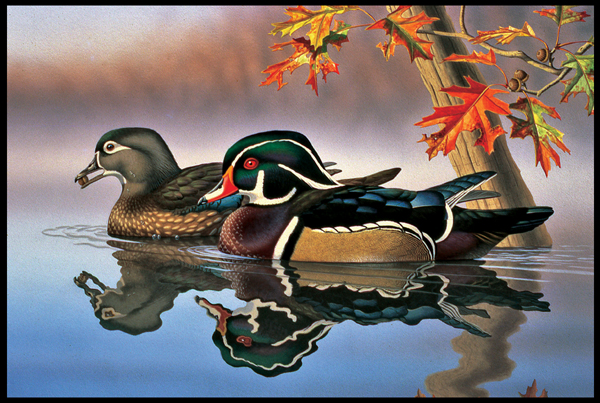 #5 Wood Ducks