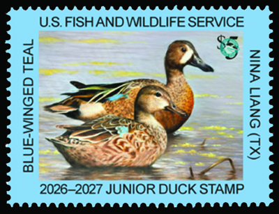 JDS34 Junior Duck