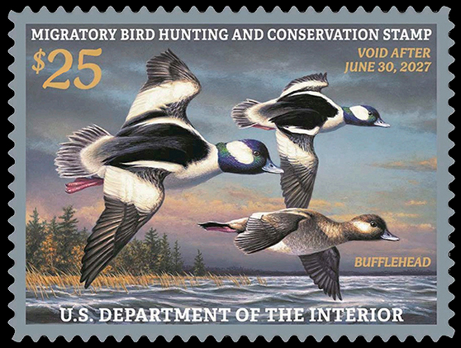 RW92 Federal Duck Stamp