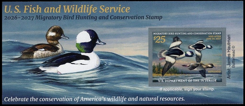 RW93A Federal Duck Stamp